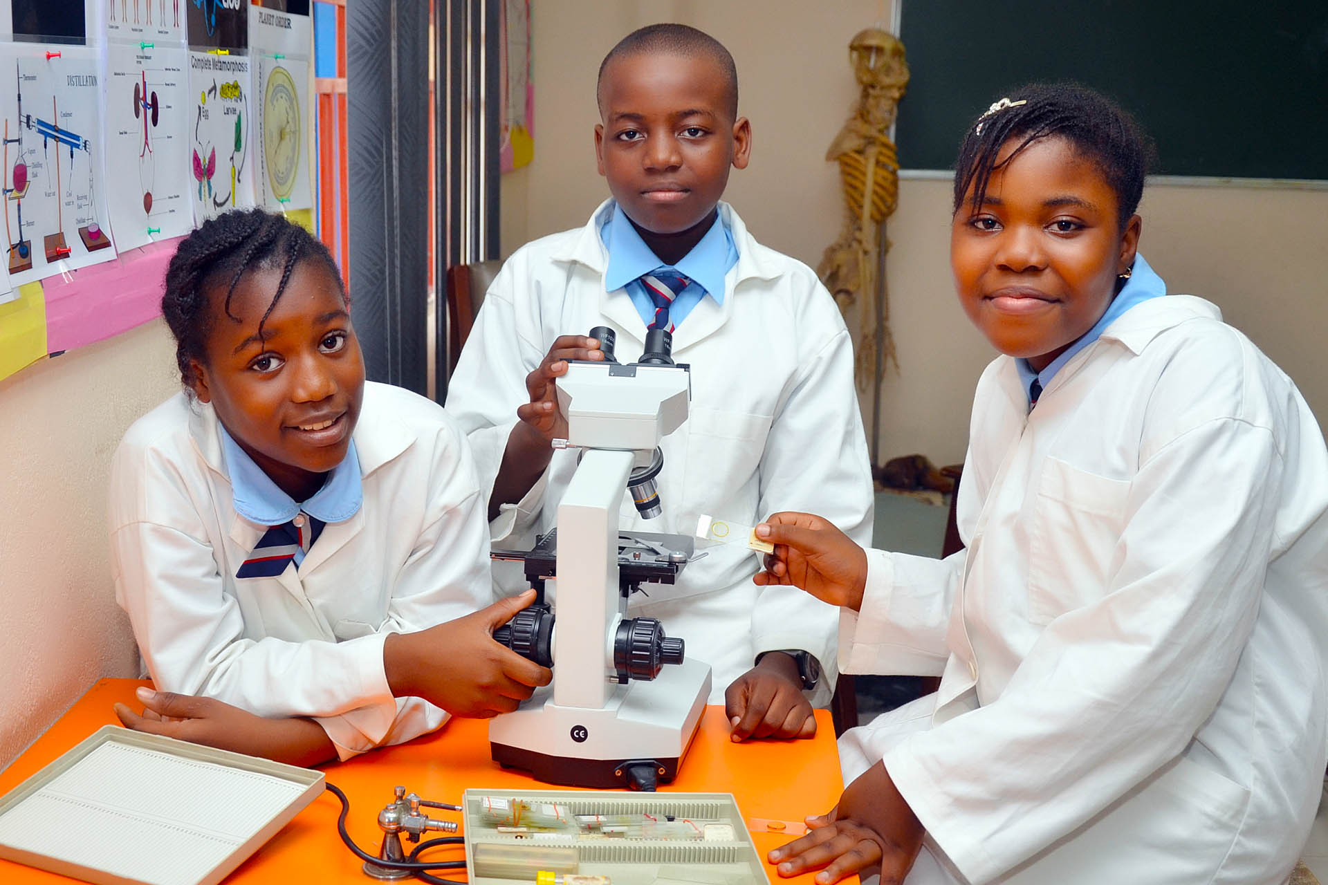 Stella Maris College Benin students conducting science experiments in lab