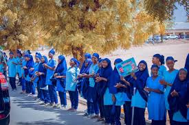 Government Girls College, Doma