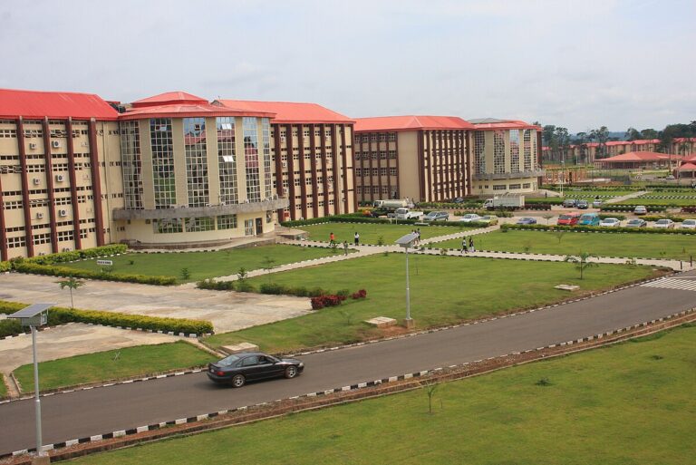 Afe Babalola University (ABUAD): Courses, School Fees, Admission Requirements & More [2025 Guide]