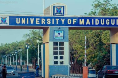 University of Maiduguri (UNIMAID) Cut-Off Marks
