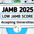 How to Choose a University Course in Nigeria in 2025/2026 With Low JAMB Scores